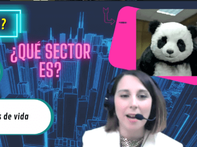 TEAM-SHOW-ON-LINE-EMPRESAS