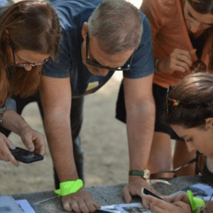 dinamicas de misterio de goya